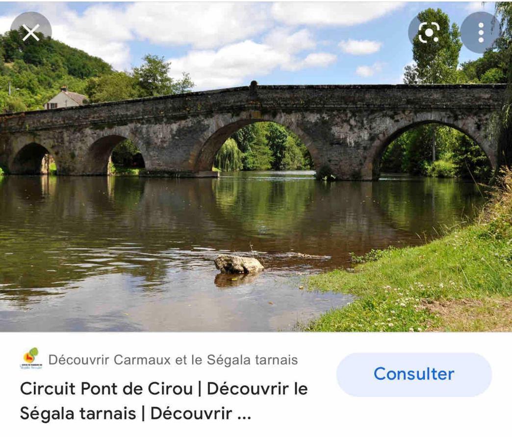 Le Gite De Las Peyros Mirandol-Bourgnounac Екстер'єр фото